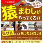 【12/20(土) イベント】猿まわしがやってくる