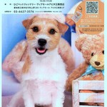 【12/28（日）】かわいいペットがモデルデビュー！？　ポスターモデルオーディション撮影会